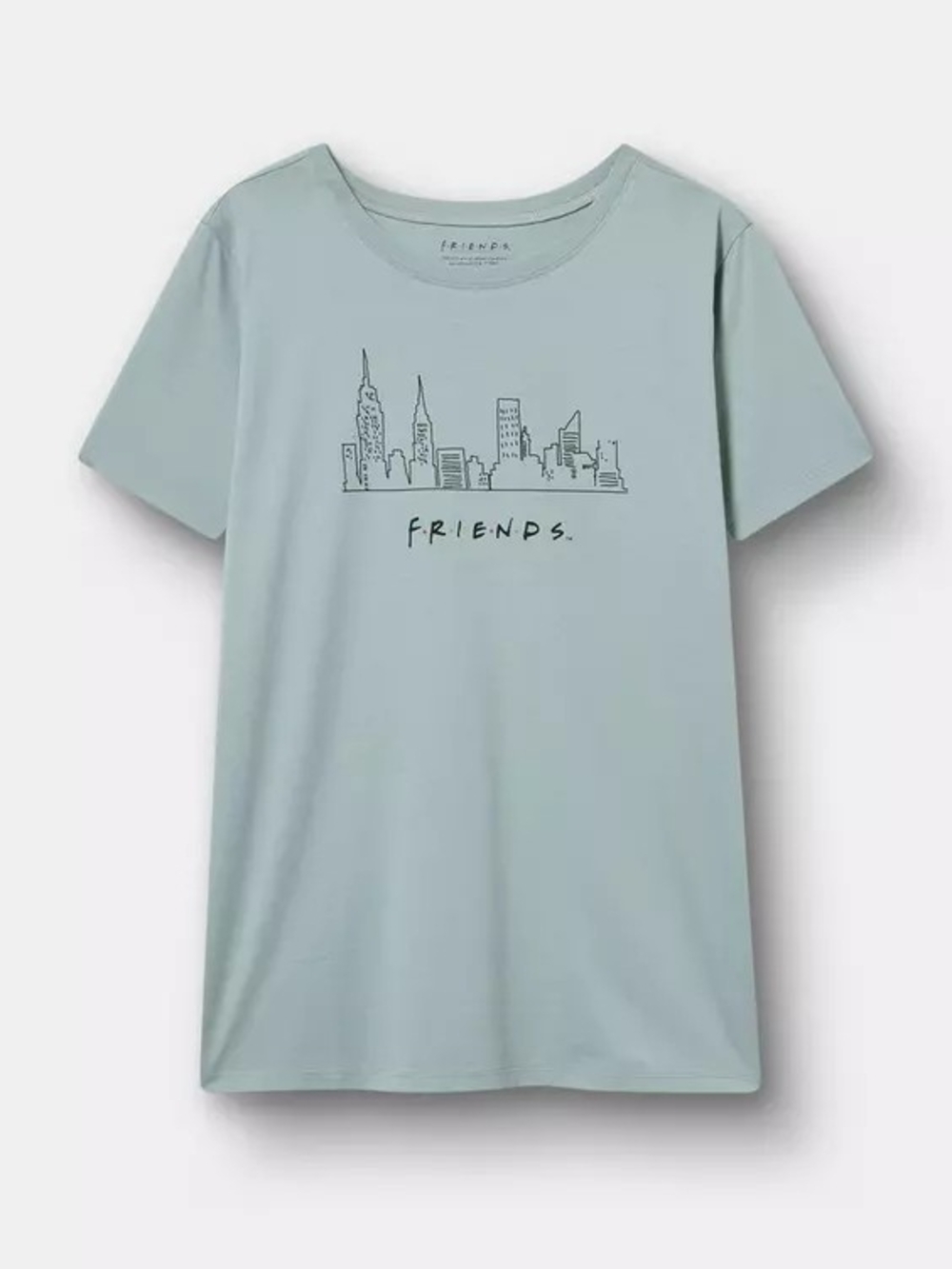 Nwt 2x Torrid Friends Classic Cotton Jersey Crew Tee~Friends city agate stone